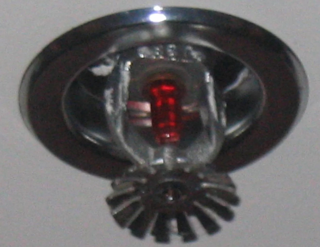 Fire Sprinkler Discharge Water Removal in Richmond Heights, OH