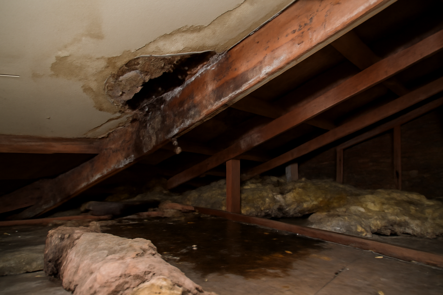 Attic Water Damage Restoration in Akron, OH
