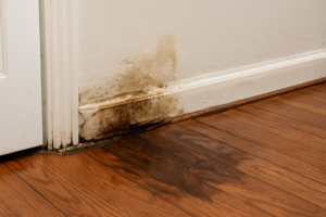 Pinhole Leak Water Removal